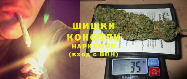 Альфа ПВП Пересвет