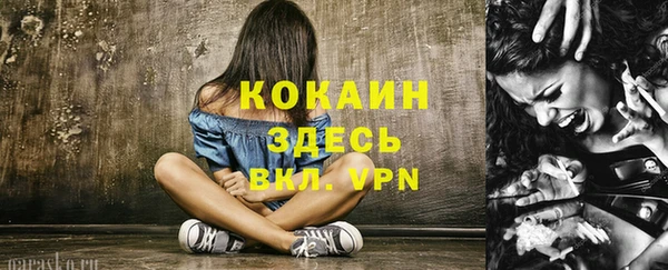 Альфа ПВП Пересвет
